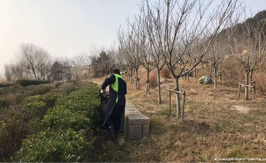 1651218806607130.jpg 95.jpg