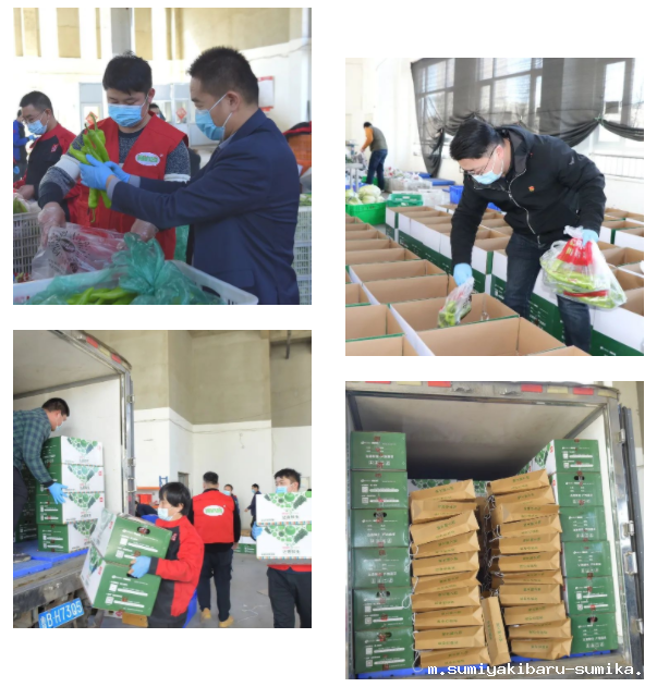 1651219782859789.png 118.png