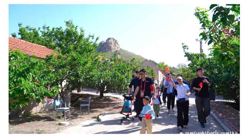 走进毛家山 感恩母亲节 走进毛家山 感恩母亲节