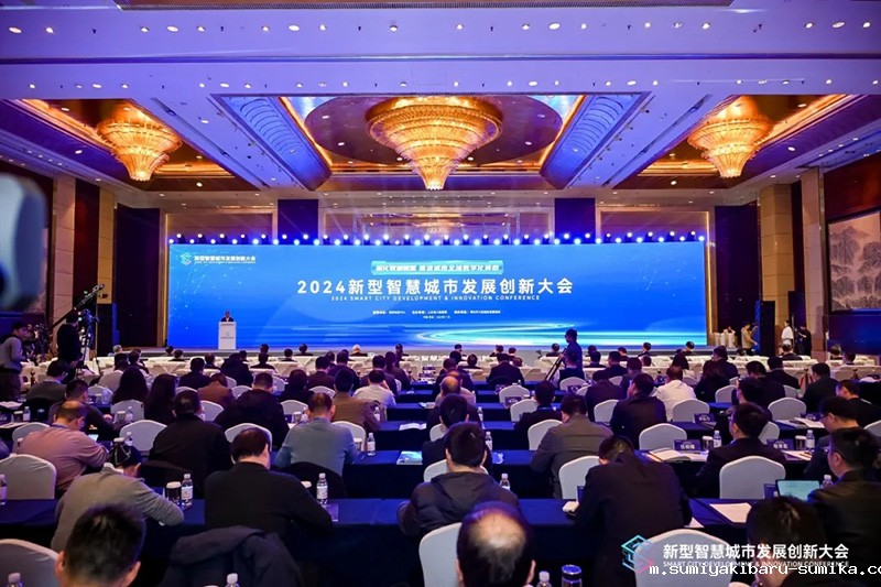 深化数据赋能 推进城市全域数字化转型丨2024新型智慧城市发展创新大会成功举办，taptap正网作主旨演讲