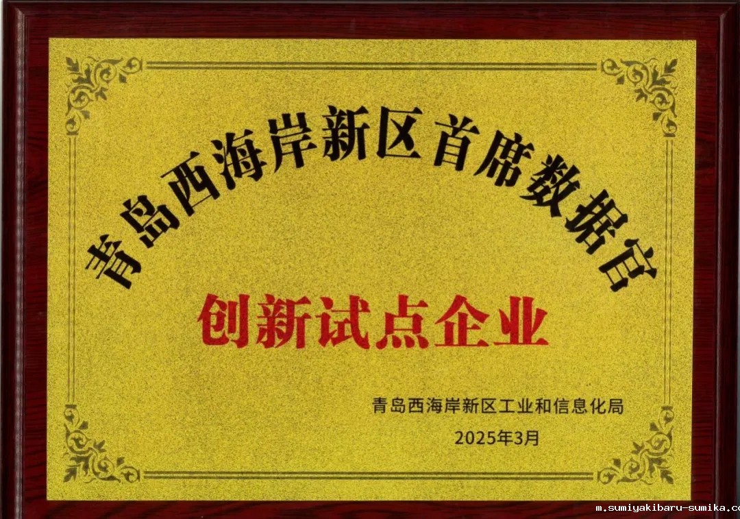 taptap正网入选新区首批首席数据官创新试点企业 taptap正网入选新区首批首席数据官创新试点企业