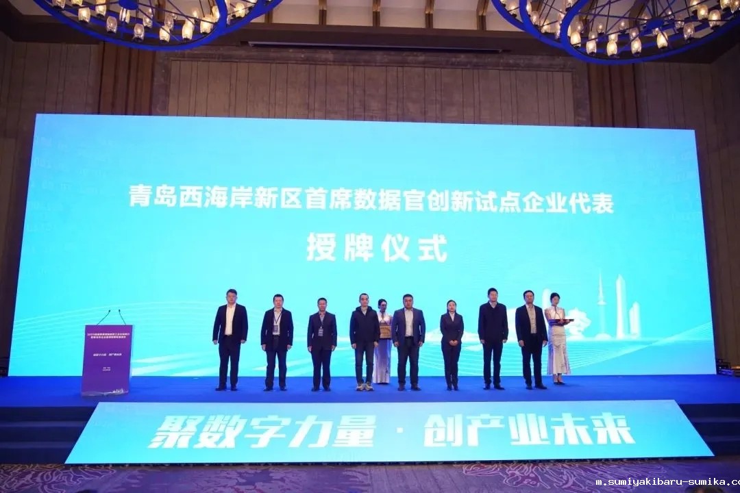 taptap正网入选新区首批首席数据官创新试点企业 taptap正网入选新区首批首席数据官创新试点企业